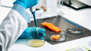 ANSWERING ALL FOOD TESTING QUESTIONS