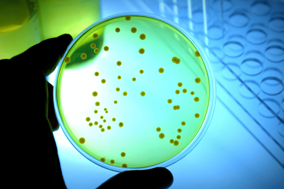 Bacterial Endotoxins Method Validations