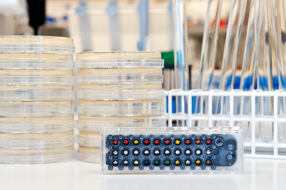 Bacterial Endotoxin Testing