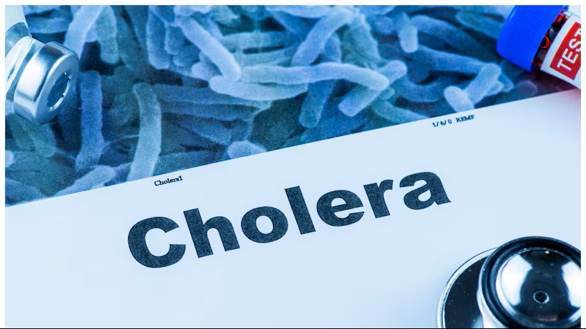 Cholera Outbreak in Bangalore: PGs on High Alert After Cases Detected